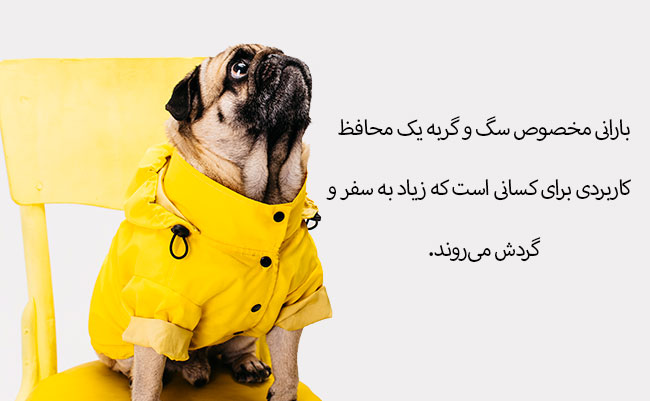 بارانی و لباس مخصوص سگ و گربه