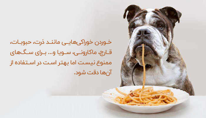 خوراکی های ممنوع و مضر برای سگ