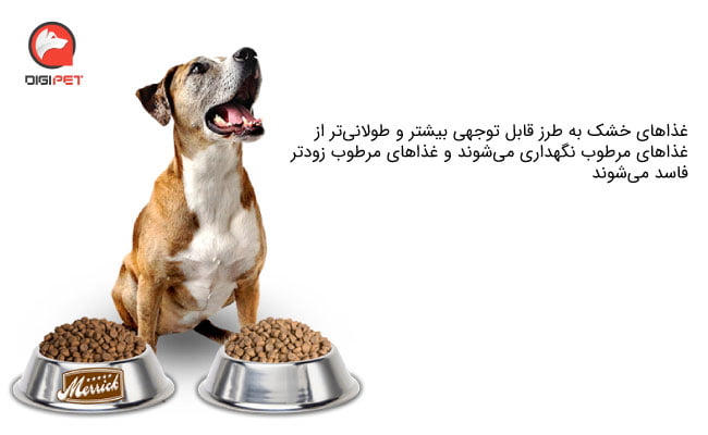 غذای خشک برای سگ