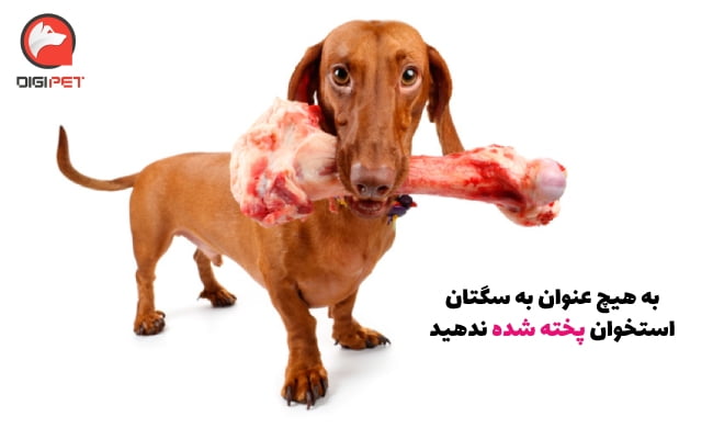 مضرات تغذیه استخوان برای سگ