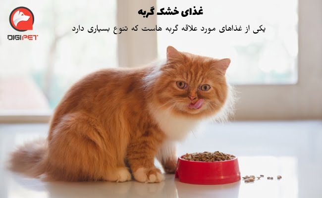 غذای خشک گربه چیست