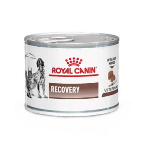 کنسرو ریکاوری رویال کنین | Recovery Can Royal Canin