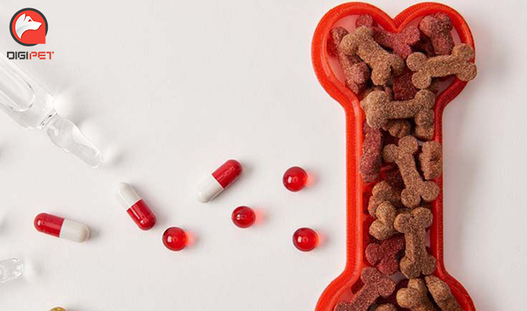راهنمای خرید ویتامین برای سگ