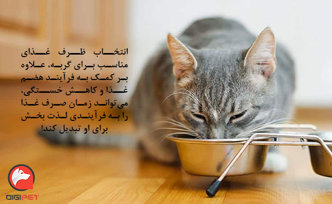 ویژگی‌های انواع ظرف غذای گربه