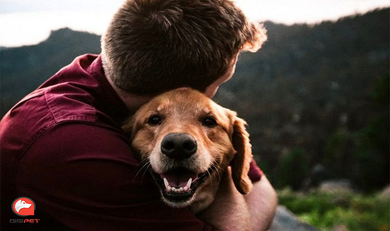  درمان افسردگی با حيوانات خانگی