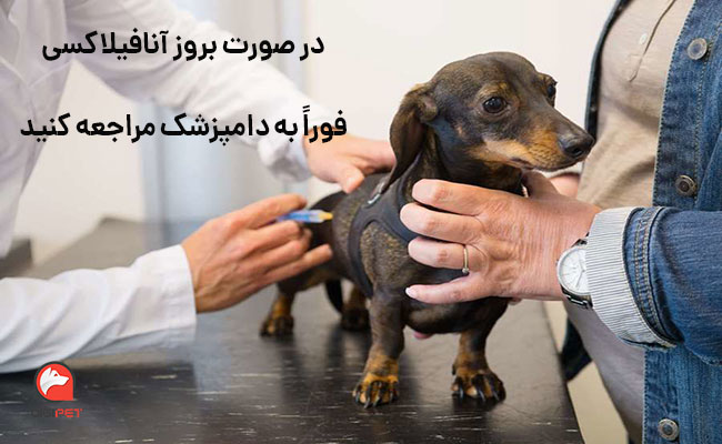 واکسیناسیون سگ ها