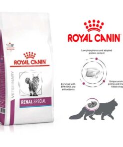 غذای خشک گربه رویال کنین مدل Renal Special بسته 2 کیلوگرمی ا Royal Canin Renal Special 2Kg