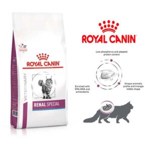 غذای خشک گربه رویال کنین مدل Renal Special بسته 2 کیلوگرمی ا Royal Canin Renal Special 2Kg