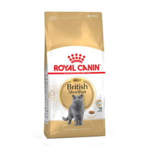 غذای خشک گربه بریتیش مو کوتاه ادالت رویال کنین ۲ کیلوگرم British Short Hair Royal Canin