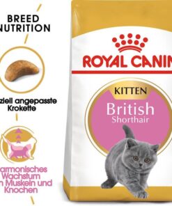 غذای خشک بچه گربه رویال کنین مدل British Kitten وزن 2 کیلوگرم ا Royal Canin British Kitten Cat Dry food 2Kg