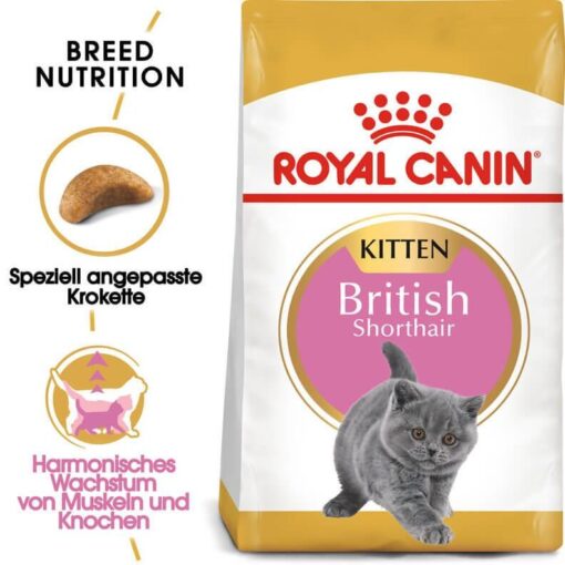 غذای خشک بچه گربه رویال کنین مدل British Kitten وزن 2 کیلوگرم ا Royal Canin British Kitten Cat Dry food 2Kg