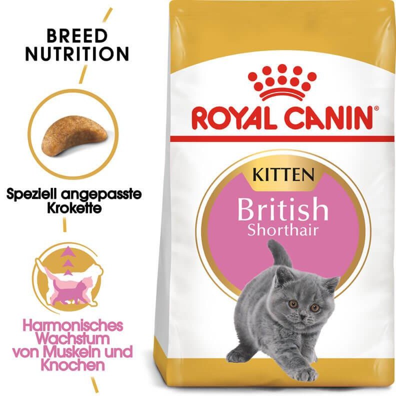 ØºØ°Ø§ÛŒ Ø®Ø´Ú© Ø¨Ú†Ù‡ Ú¯Ø±Ø¨Ù‡ Ø±ÙˆÛŒØ§Ù„ Ú©Ù†ÛŒÙ† Ù…Ø¯Ù„ British Kitten ÙˆØ²Ù† 2 Ú©ÛŒÙ„ÙˆÚ¯Ø±Ù… Ø§ Royal Canin British Kitten Cat Dry food 2Kg