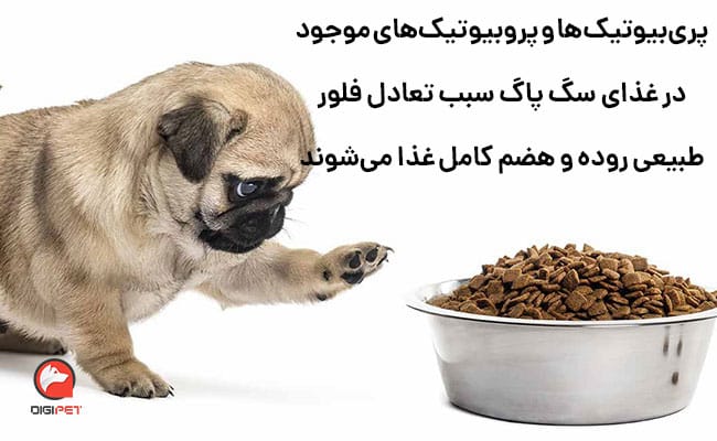 انواع غذای سگ پاگ
