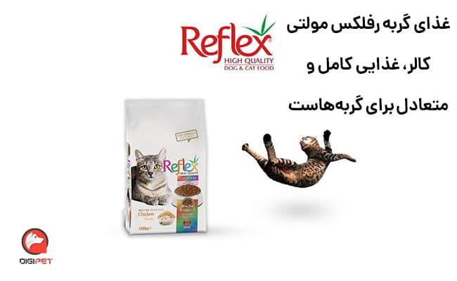 غذای گربه رفلکس مولتی کالر