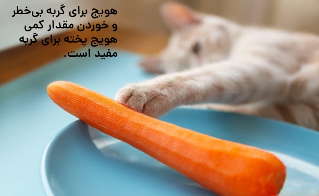 خواص هویج برای گربه
