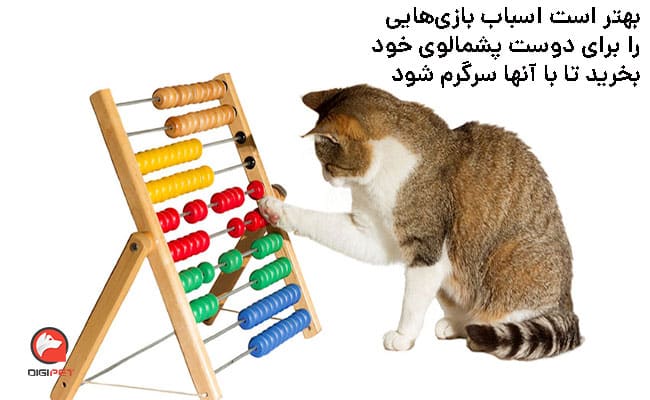 اسباب بازی برای گربه